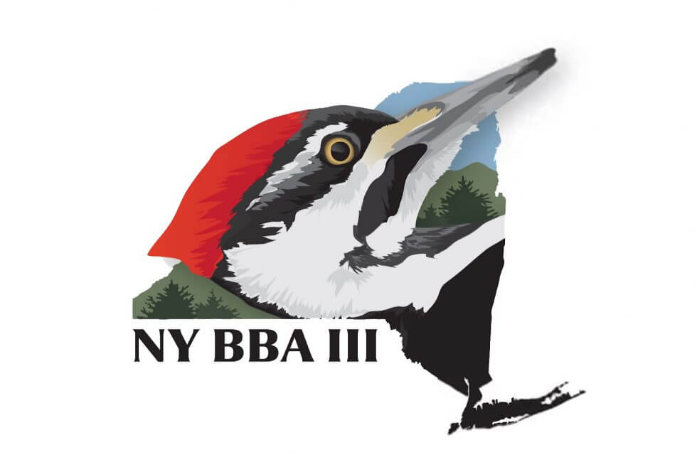 Logo for NY BBA III featuring a Pileated Woodpecker head over an outline of New York state.