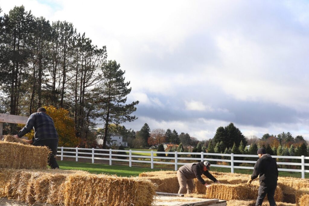 Hay Maze