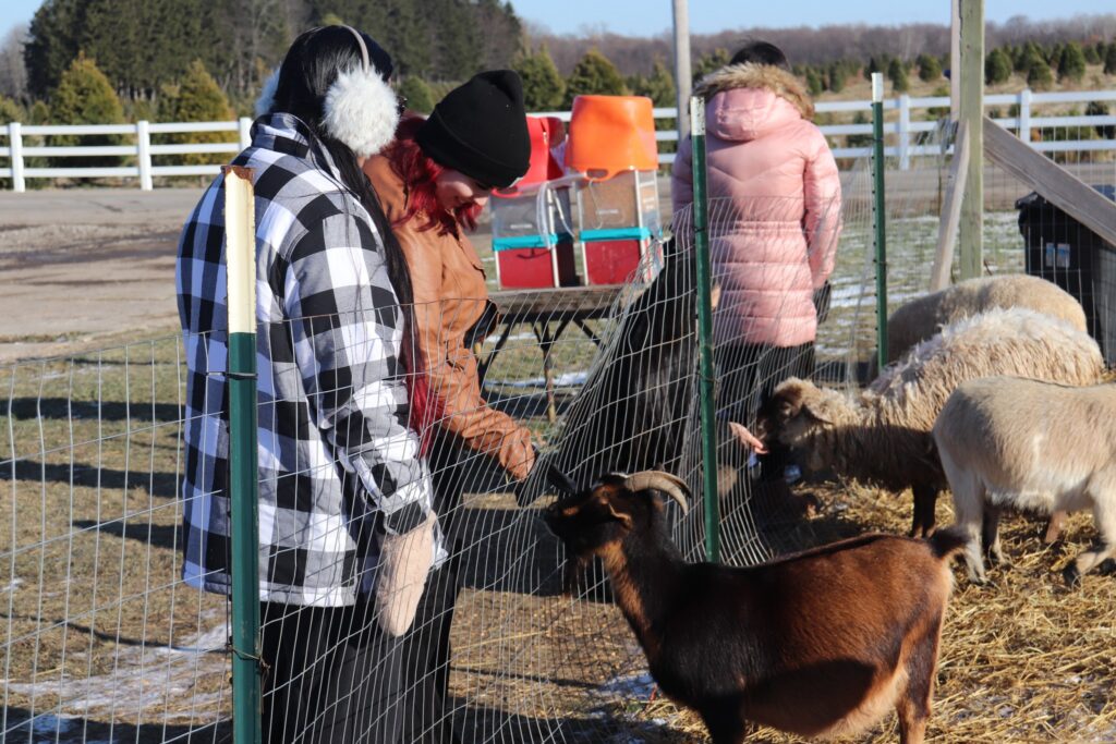 Live Nativity Scene